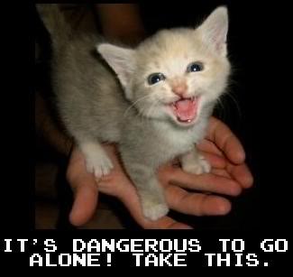 its-dangerous-to-go-alone.jpg