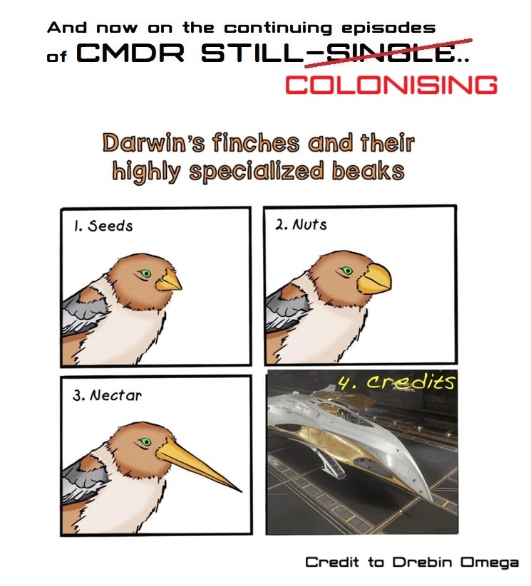Still Single - Darwins Finches Beaks Drebin Omega.jpg